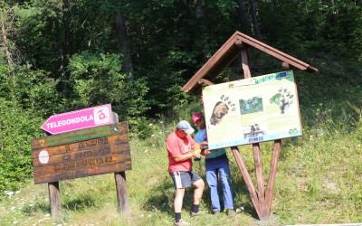 The installation of Life for Bear information boards – E3