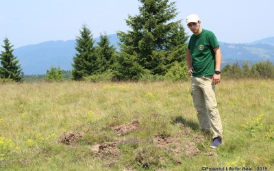 Identifying ants mounds